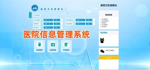 医院信息管理系统 云his ,云服务his系统源码,saas服务模式,实现一中心部署多机构使用