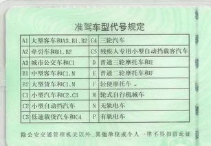 c1驾驶证 使用 新规定,你知道多少